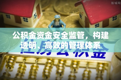 苏州公积金资金安全监管，构建透明、高效的管理体系