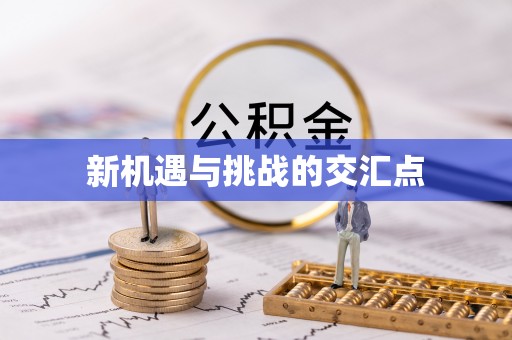 苏州新机遇与挑战的交汇点