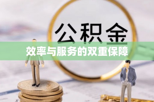 苏州效率与服务的双重保障