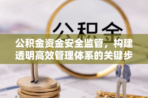 苏州公积金资金安全监管，构建透明高效管理体系的关键步骤