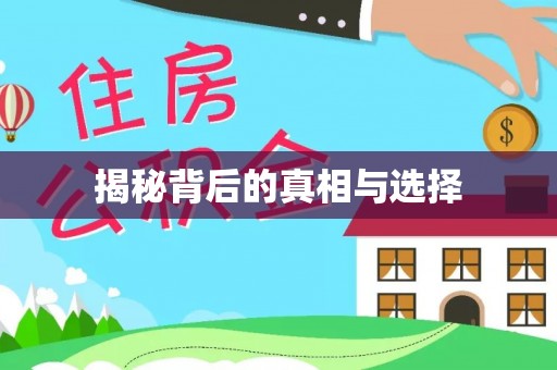 苏州揭秘背后的真相与选择